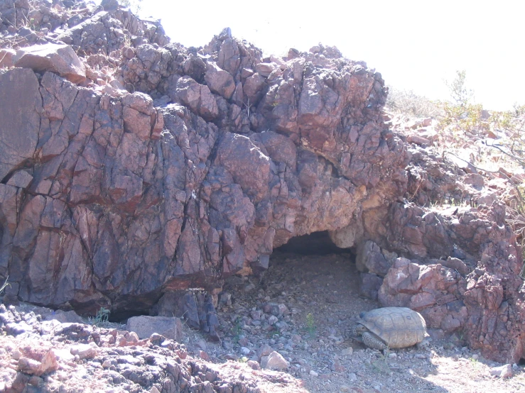 a rocky landscape area with a cave in the center