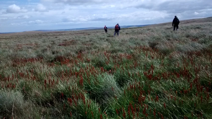 three people standing on top of a lush green field