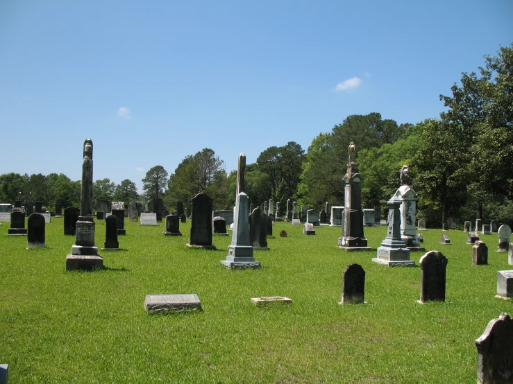 headstones on grass at the edge of trees and in the background, a blue sky
