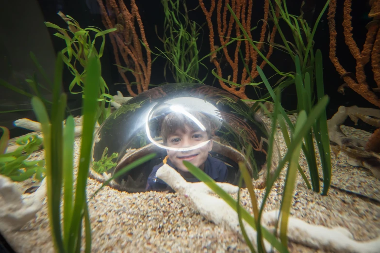 a  looking through a fish tank mirror