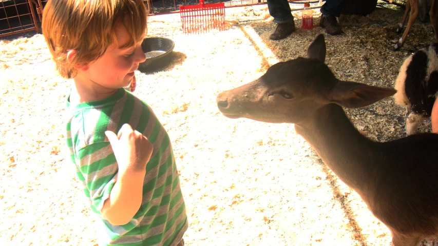 a  standing next to a small animal