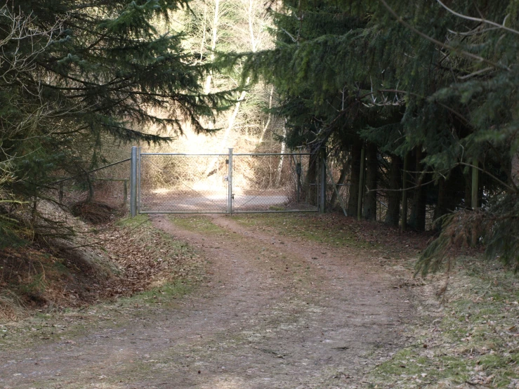 a large tree lined path leading into a gate