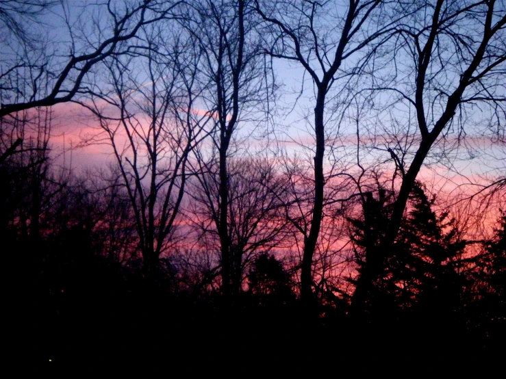 the view of a dusk sky over trees