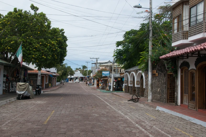 an empty street surrounded by small buildings and trees