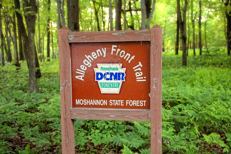 the sign for the mountain state forest park