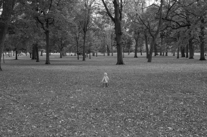 a little boy standing in the middle of a park