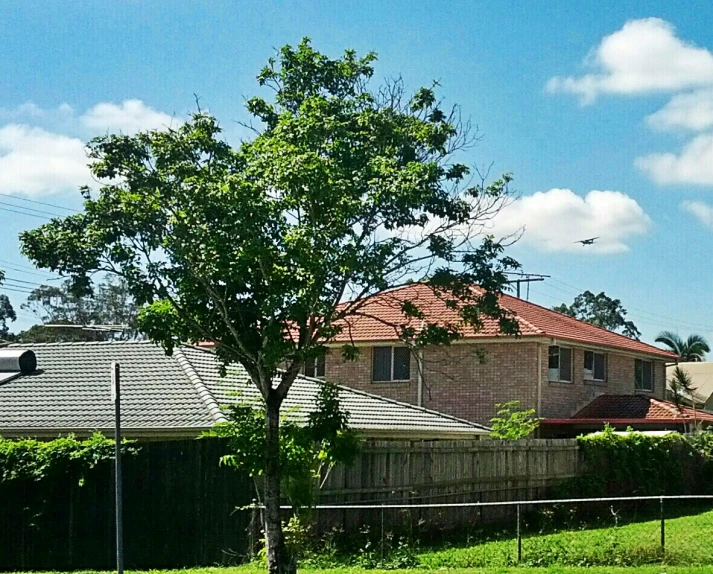 a big tree that is sitting in the grass