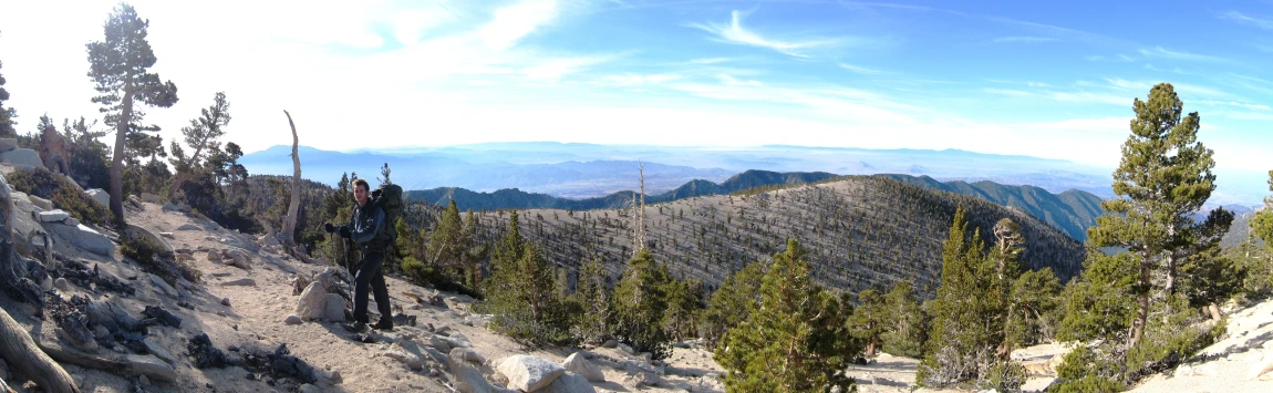 people standing on a high mountain looking over trees and bushes