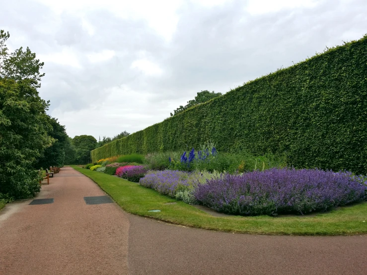 the path has plants growing up both sides