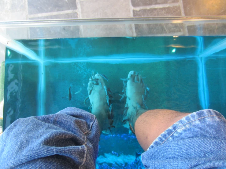 a man is looking at a tank with some fish