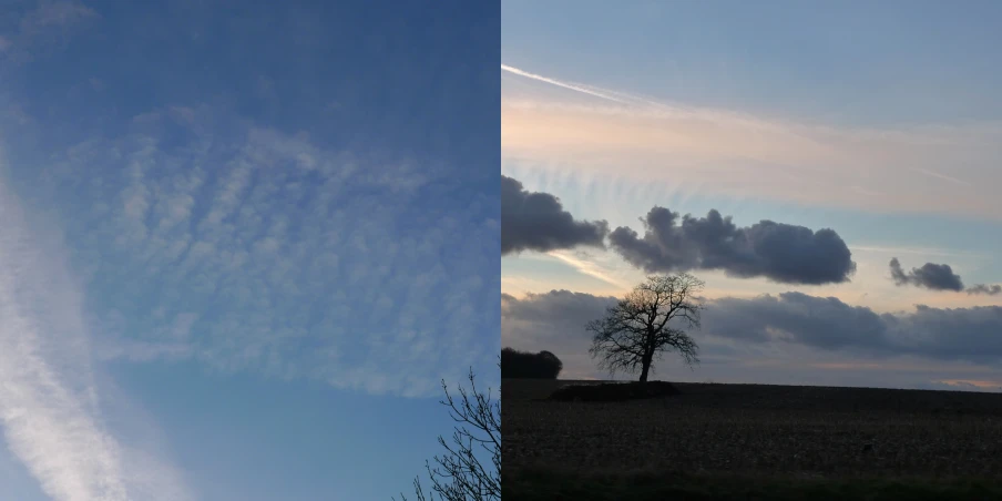 a tree with a dark cloud in the sky