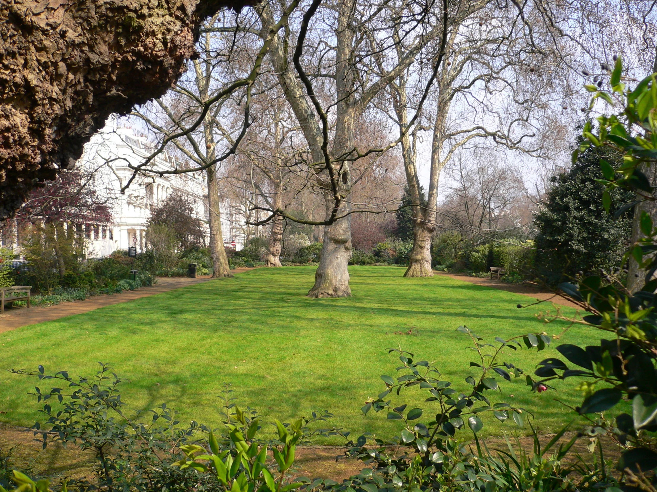 the green lawn with trees has fallen apart