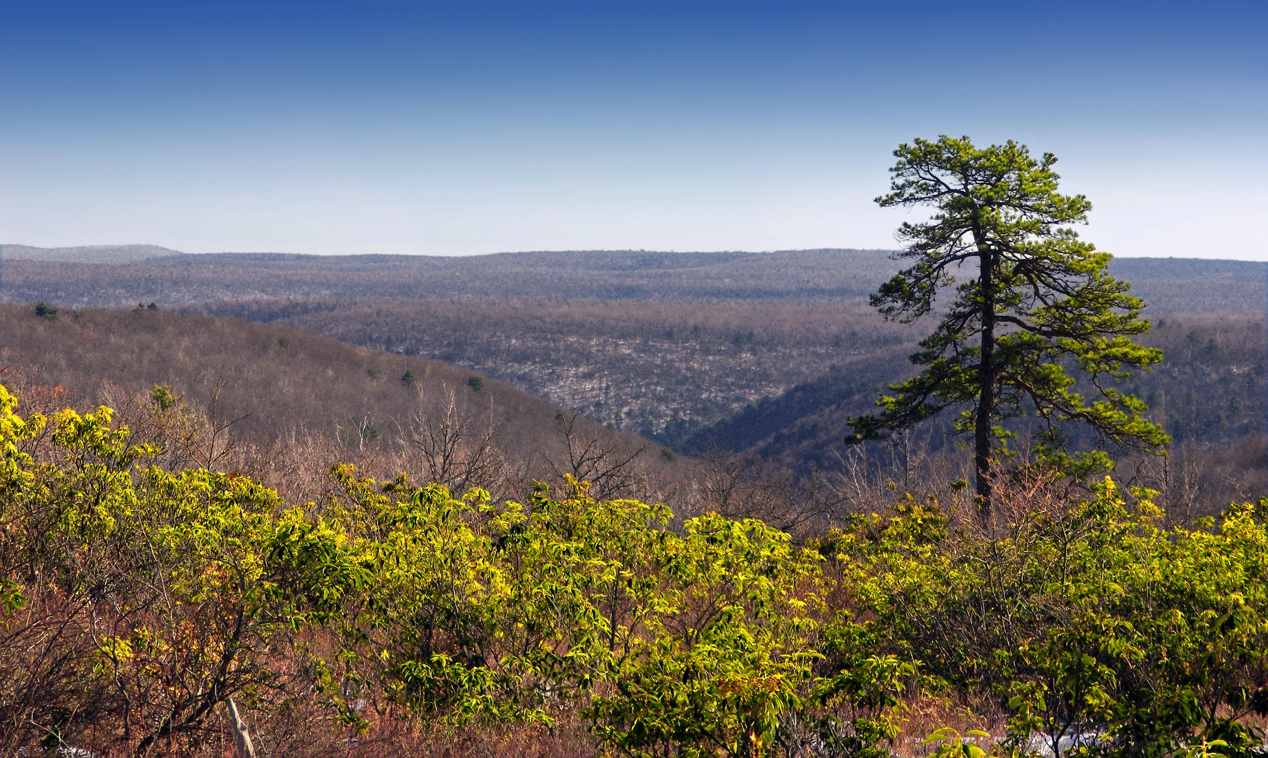 the view of the mountains and trees from the top of a hill