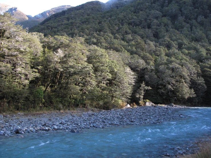 the river is flowing very close to the mountains