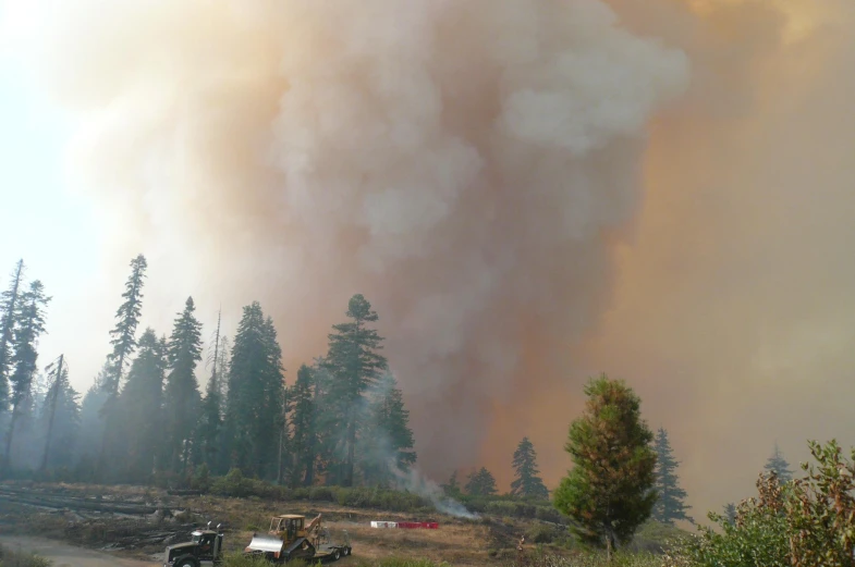 smoke billows out into the sky over a forested area