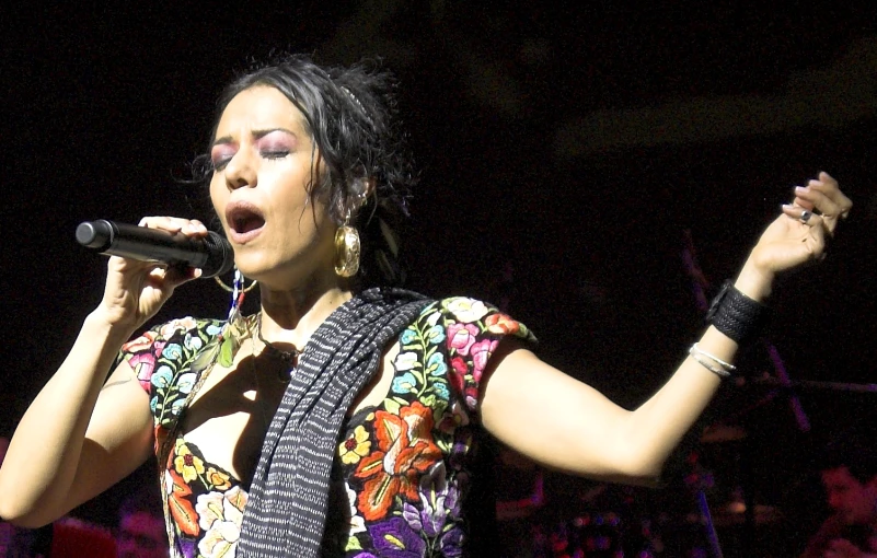 a woman singing into a microphone at an outdoor concert
