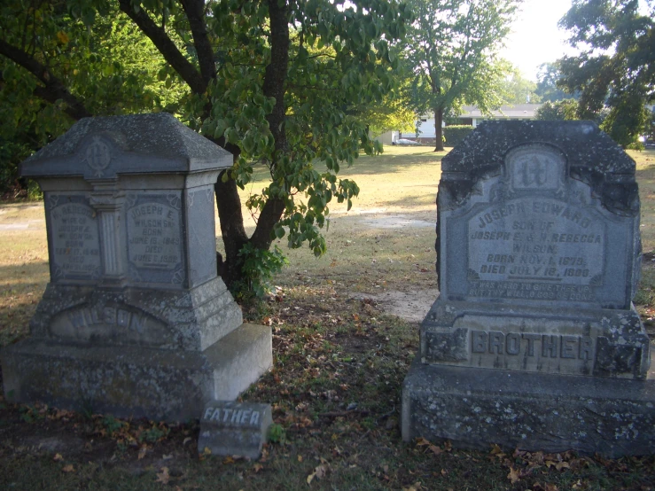 two graves in an cemetery are surrounded by leaves