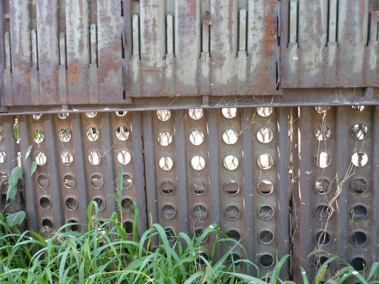 a rusty fence with round holes and grass