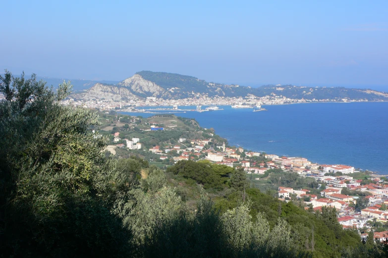 a large body of water surrounded by forest