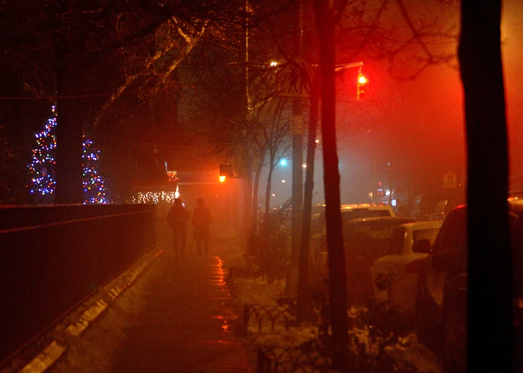 a person on a street next to a stop sign with trees lit up