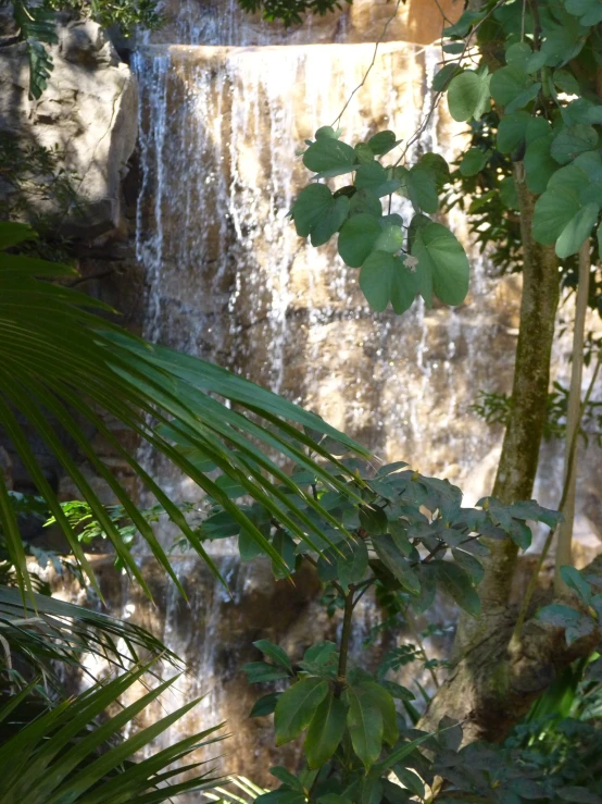 a waterfall that has lots of leaves around it