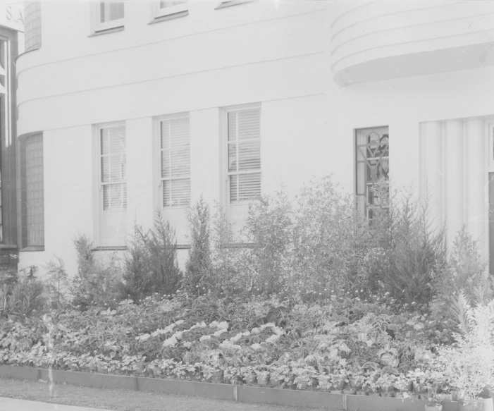 a black and white image of flowers and windows in a house