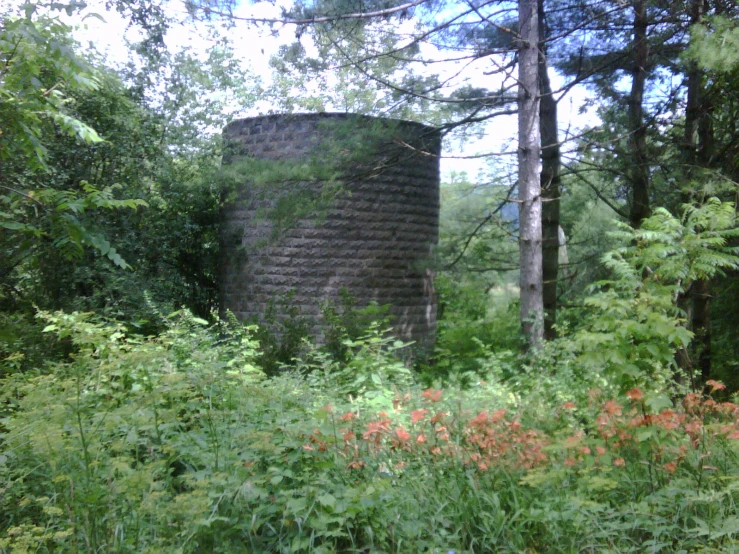 an old building sits in the middle of tall plants