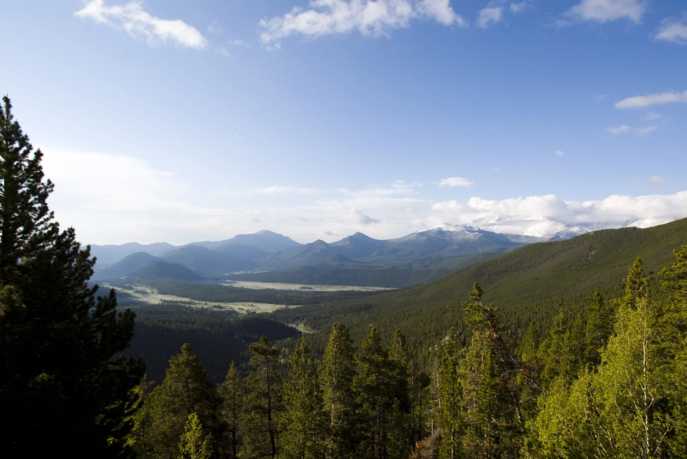 trees and mountains on the side of a mountain in the daytime