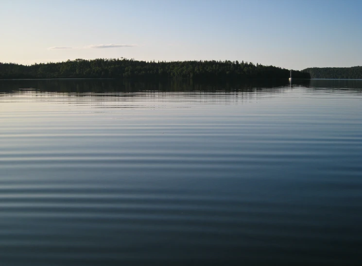 trees reflecting in the calm water on a clear day