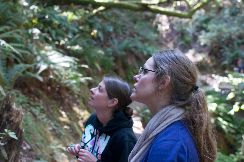 two young women are standing among the trees looking up