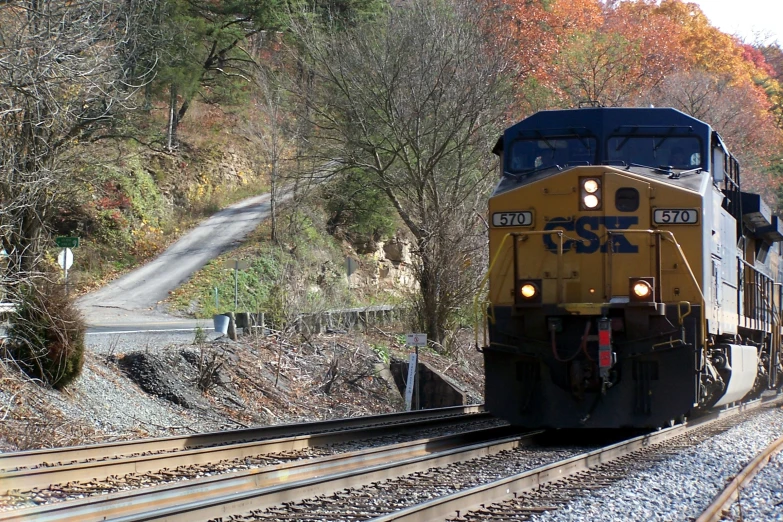 a train riding down the tracks through the woods