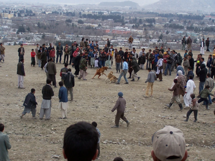 a large group of people standing around a dog