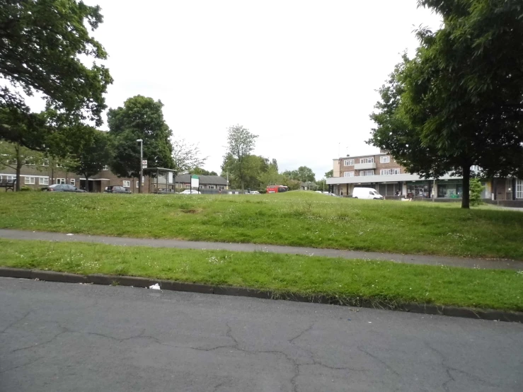 a grassy park on a sunny day next to a street