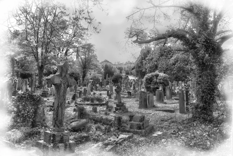 black and white po of a graveyard