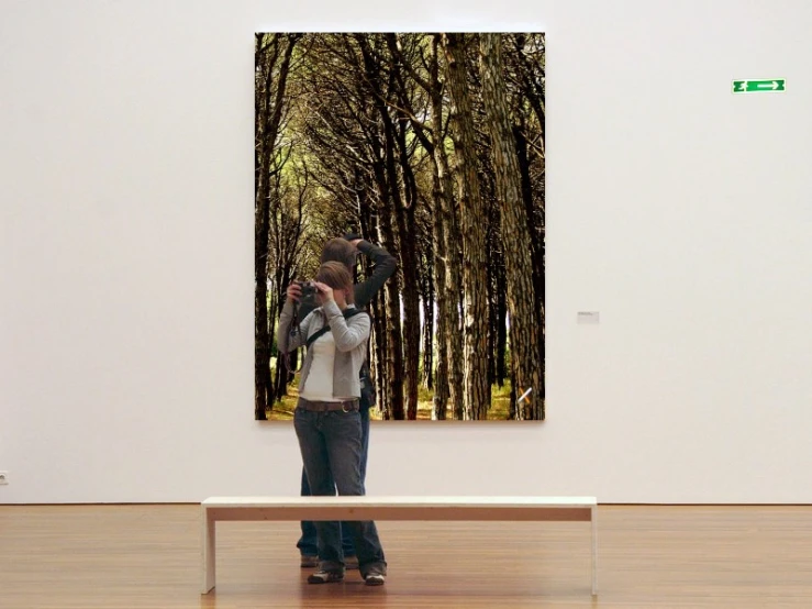 a person takes a po of an image on a wall