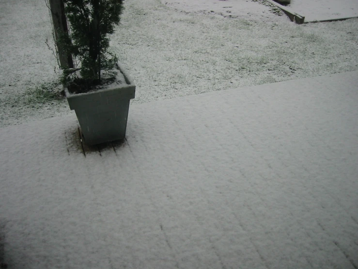 there is a snow covered sidewalk next to a tree