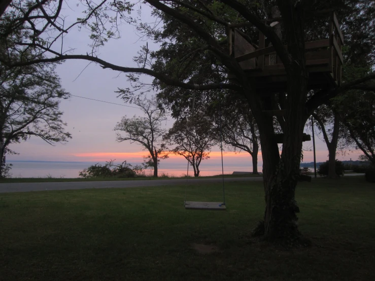 the view from a tree house in a park