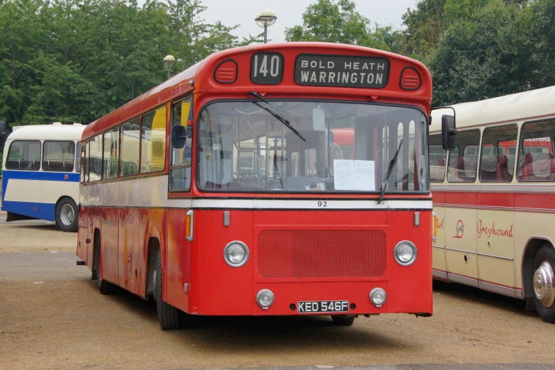 red bus in front of white buses, on the street