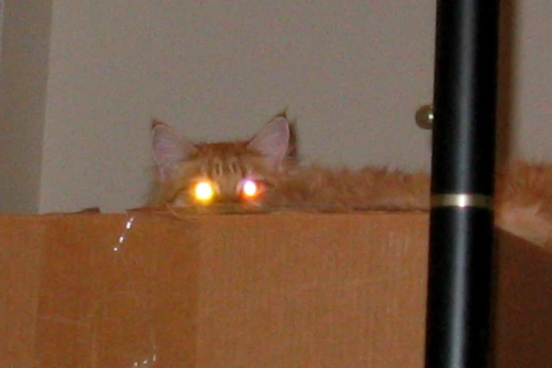 an orange cat with light glowing on its eyes laying on a wood cabinet