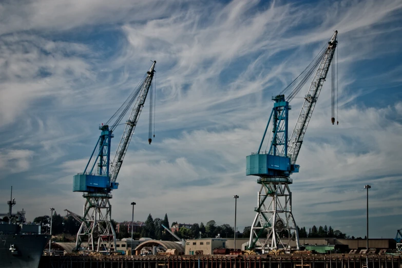 cranes sitting in the water on a cloudy day