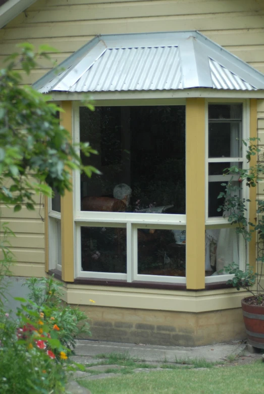 a dog sits in a window seat in a house