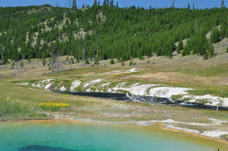 a body of water surrounded by green trees