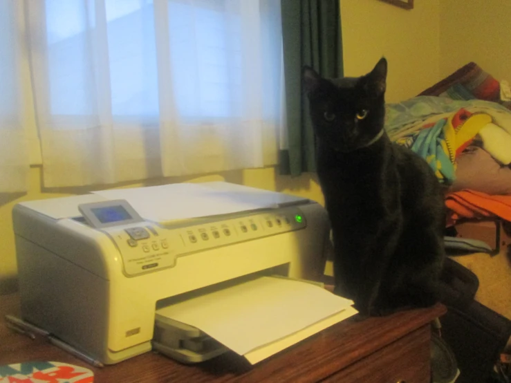 a black cat sitting next to a printer and scanner