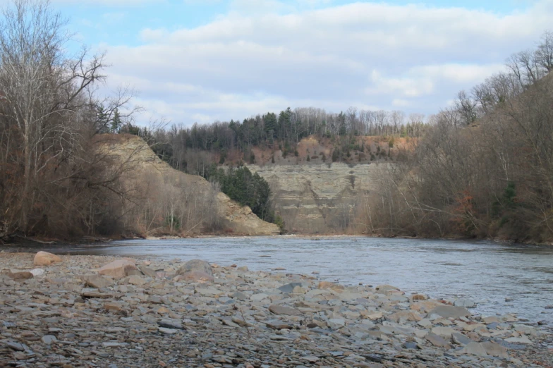 a river with rocks and plants along it in front of trees