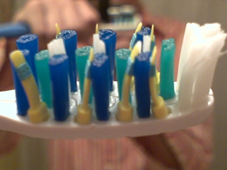 a person holding a small plate full of toothbrushes