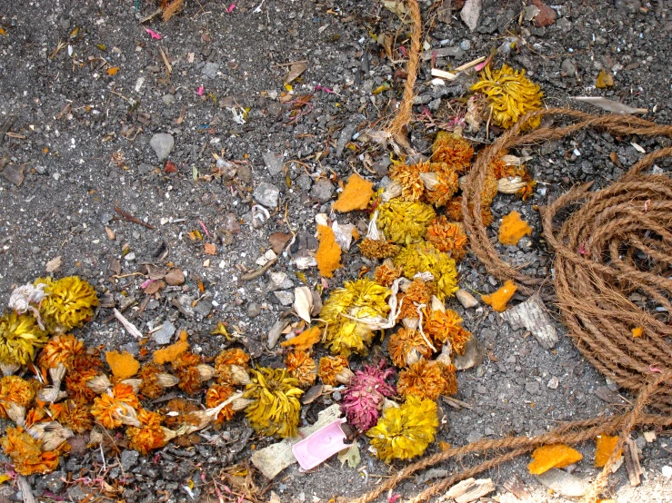 a rope with some flowers on it laying on the ground