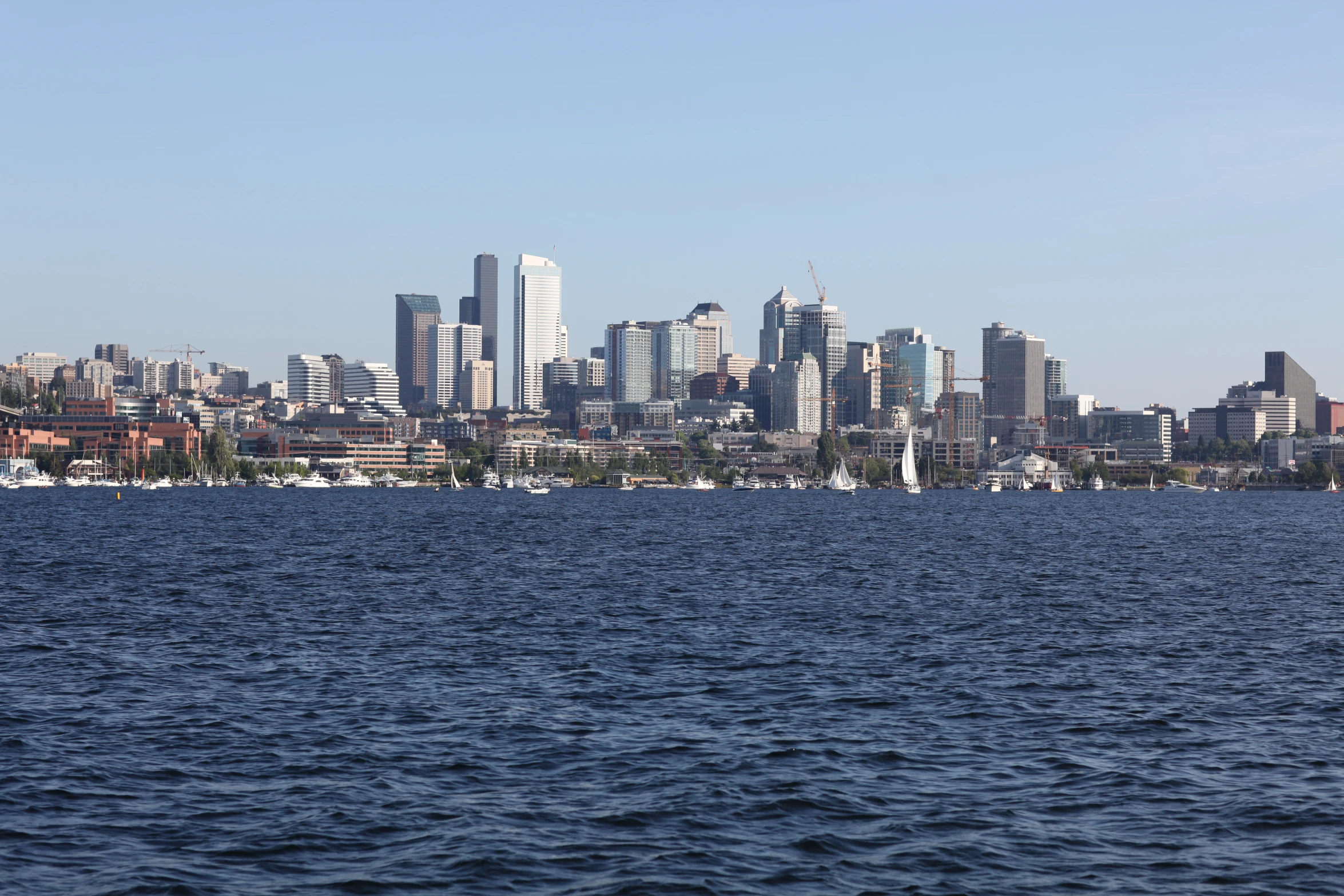 the view of a city across the water