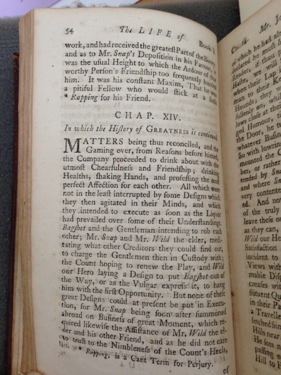 an open book showing the contents of the text