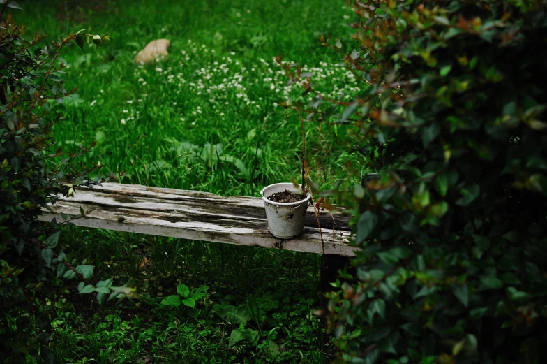 a bench that is sitting in the grass