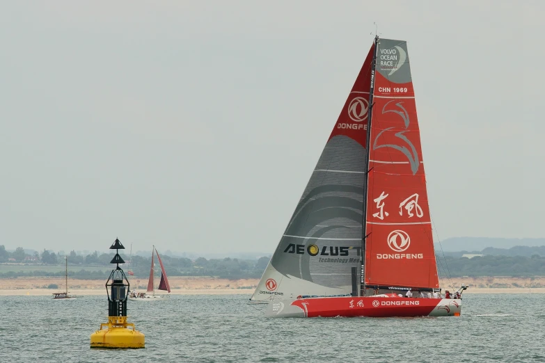 sailboats out in the water on a sunny day